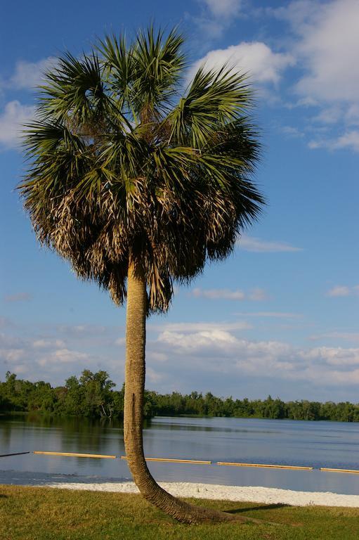 Cypress Cove Nudist Resort Poinciana Buitenkant foto